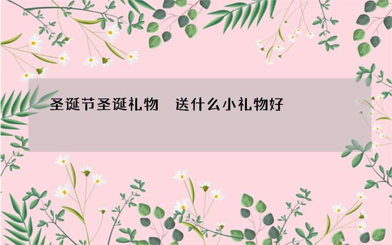 圣诞节圣诞礼物 送什么小礼物好